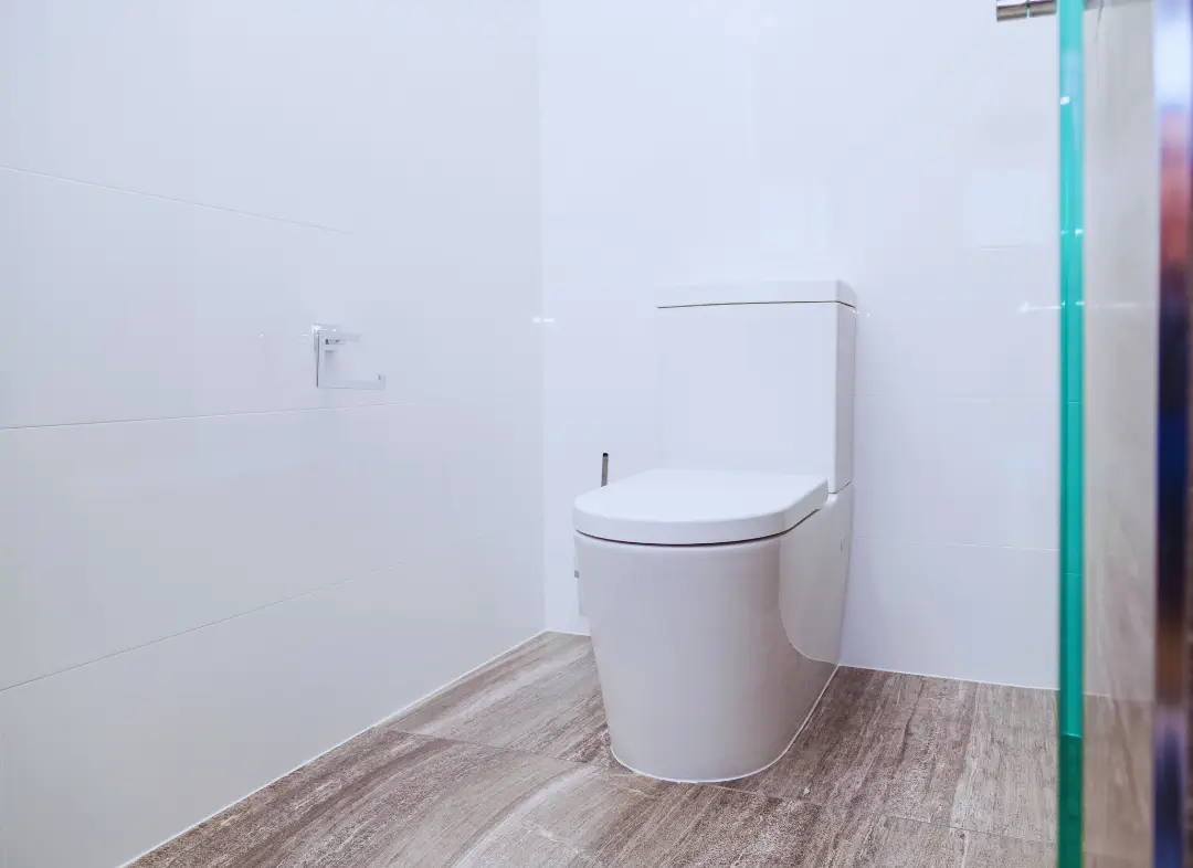 Remplacement de wc L'Hôpital